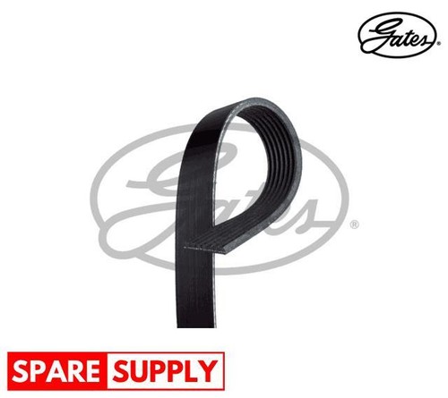 Ribbed belt for fiat - v-ribbed,